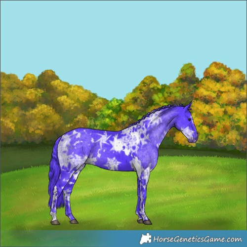 Horse Color:Watercolor White Spotted Chocolate Smoky Black Chinchilla Ice 