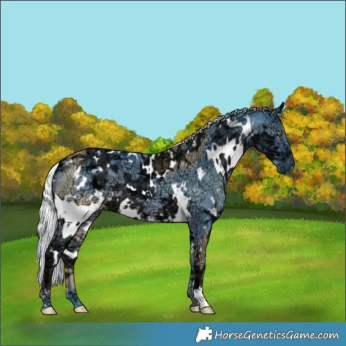 Horse Color:Watercolor White Spotted Chocolate Silver Black Chinchilla Ice