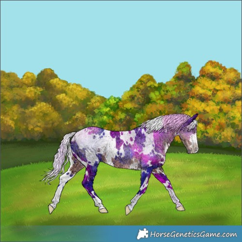 Horse Color:Watercolor White Spotted Silver Smoky Black Chinchilla Ice