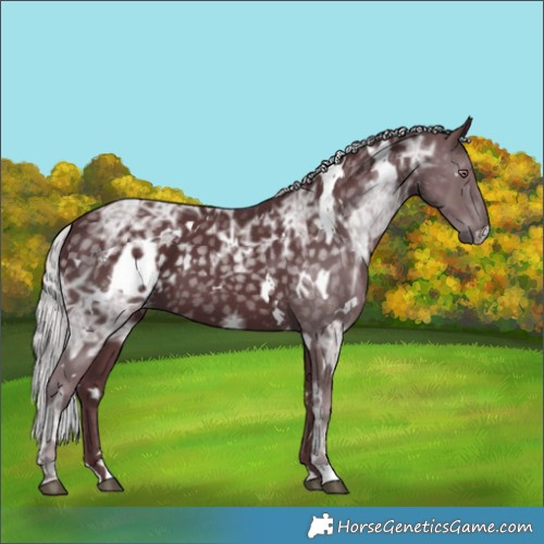 Horse Color:White Spotted Chocolate Silver Black Chinchilla Ice