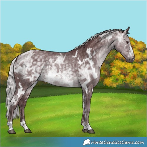 Horse Color:White Spotted Chocolate Silver Black Chinchilla Ice