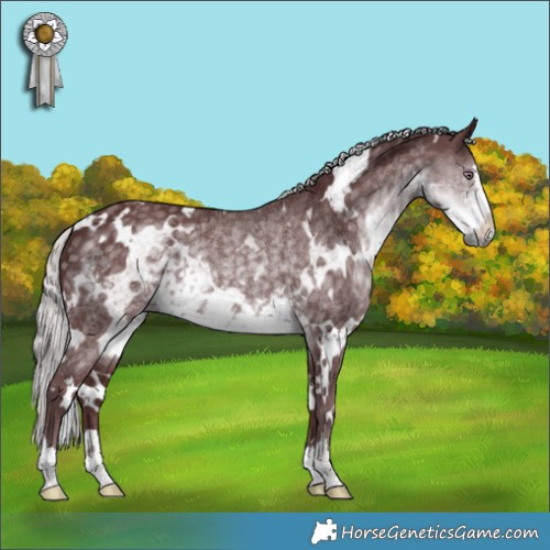Horse Color:White Spotted Chocolate Silver Smoky Black Chinchilla