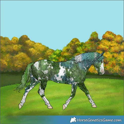 Horse Color:Watercolor White Spotted Chocolate Smoky Black Chinchilla Ice 
