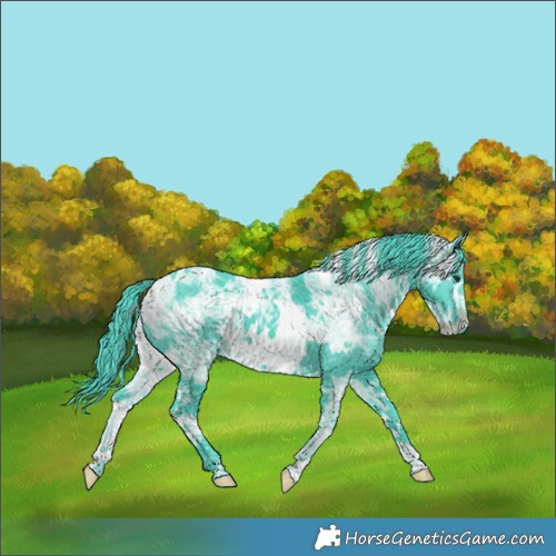 Horse Color:Watercolor White Spotted Chocolate Smoky Black Chinchilla Ice 