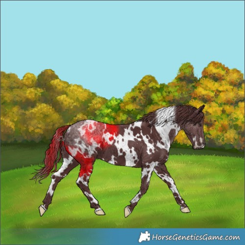 Horse Color:White Spotted Chocolate Smoky Black Chinchilla Ice