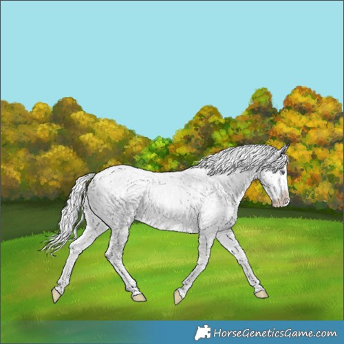 Horse Color:White Spotted Chocolate Silver Smoky Creme Chinchilla Ice