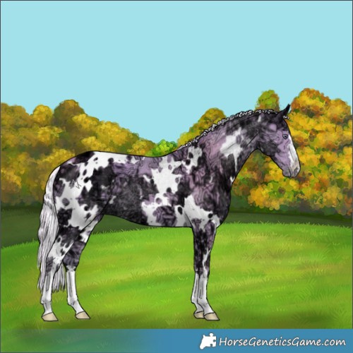 Horse Color:Watercolor White Spotted Chocolate Silver Smoky Creme Chinchilla Ice 