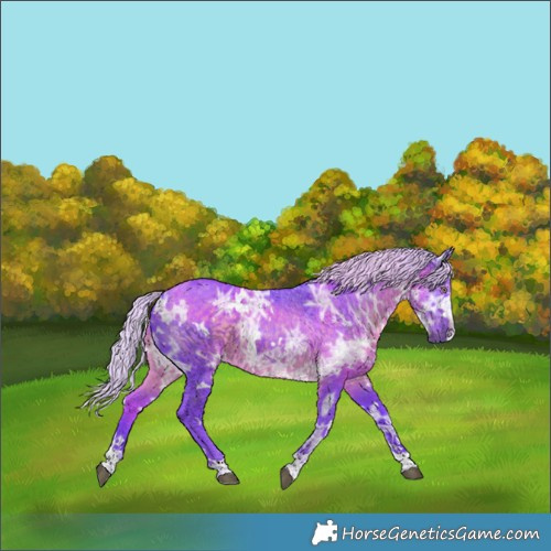 Horse Color:Watercolor White Spotted Chocolate Silver Black Chinchilla Ice 