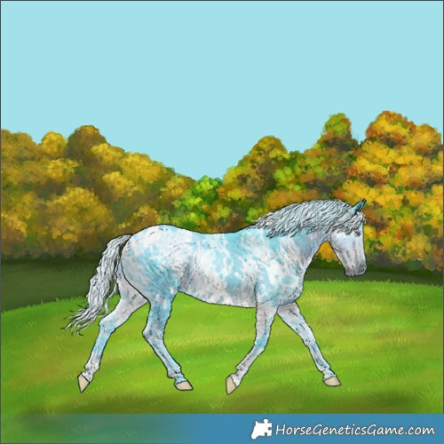 Horse Color:Watercolor White Spotted Chocolate Silver Smoky Black Chinchilla Ice 