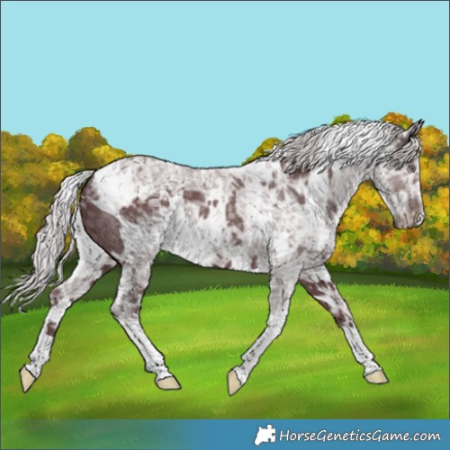 Horse Color:White Spotted Chocolate Silver Smoky Black Chinchilla Ice