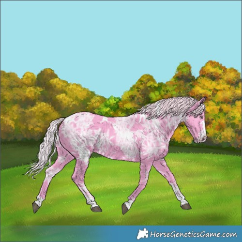 Horse Color:Watercolor White Spotted Chocolate Silver Smoky Black Chinchilla Ice 
