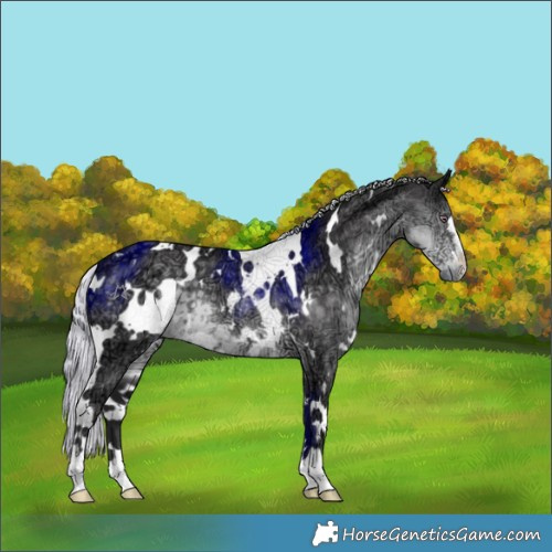 Horse Color:White Spotted Silver Smoky Black Chinchilla Ice