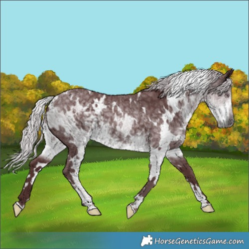 Horse Color:White Spotted Chocolate Silver Smoky Black Chinchilla Ice