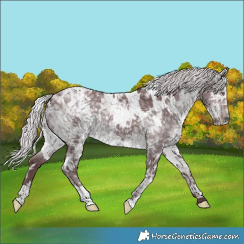 Horse Color:White Spotted Chocolate Silver Black Chinchilla Ice