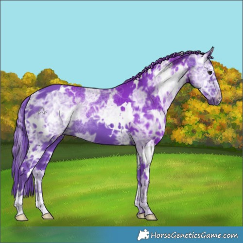 Horse Color:Watercolor White Spotted Chocolate Smoky Black Chinchilla Ice