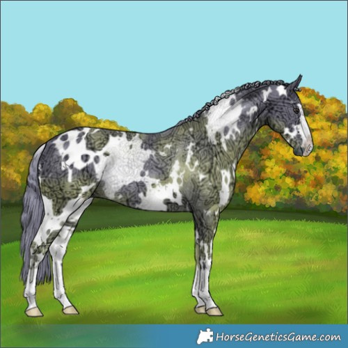 Horse Color:Watercolor White Spotted Chocolate Smoky Black Chinchilla Ice 