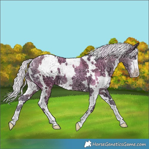 Horse Color:Watercolor White Spotted Chocolate Silver Smoky Creme Chinchilla Ice