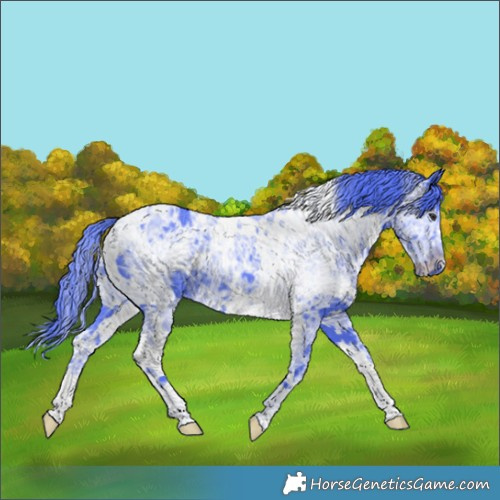 Horse Color:Watercolor White Spotted Chocolate Smoky Black Chinchilla Ice 