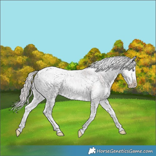Horse Color:White Spotted Chocolate Smoky Creme Chinchilla Ice