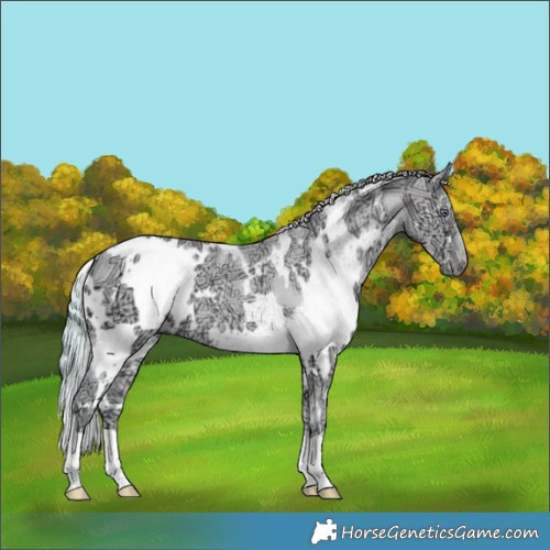 Horse Color:White Spotted Chocolate Smoky Creme Chinchilla Ice