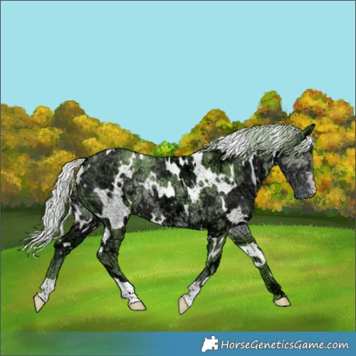 Horse Color:Watercolor White Spotted Chocolate Silver Smoky Black Chinchilla Ice 
