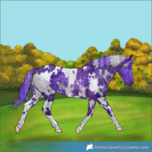 Horse Color:Watercolor White Spotted Chocolate Smoky Black Chinchilla Ice 