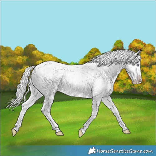 Horse Color:White Spotted Silver Smoky Creme Chinchilla Ice 