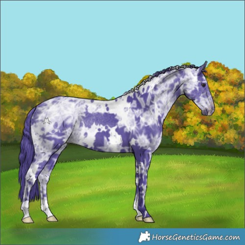Horse Color:Watercolor White Spotted Smoky Black Chinchilla Ice