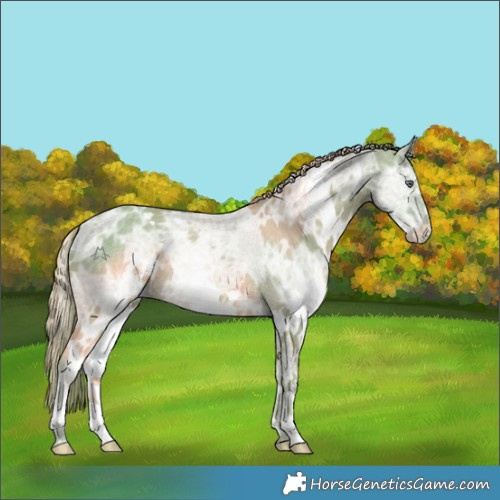 Horse Color:Watercolor White Spotted Smoky Creme Chinchilla Ice 