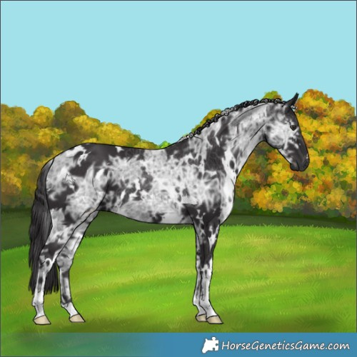 Horse Color:White Spotted Smoky Black Chinchilla Ice 
