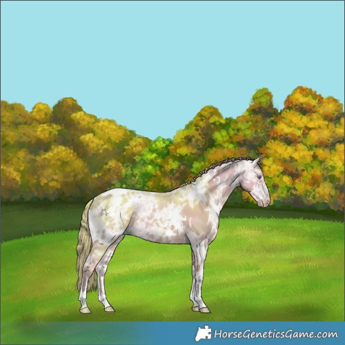 Horse Color:Watercolor White Spotted Smoky Creme Chinchilla Ice 