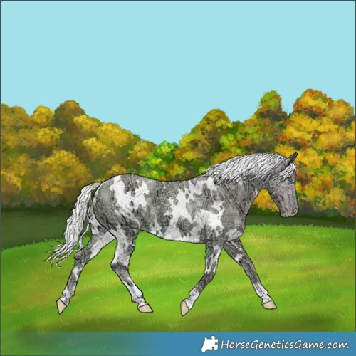 Horse Color:Watercolor White Spotted Chocolate Silver Smoky Creme Chinchilla Ice 