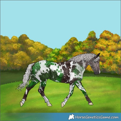 Horse Color:White Spotted Chocolate Silver Smoky Black Chinchilla Ice 