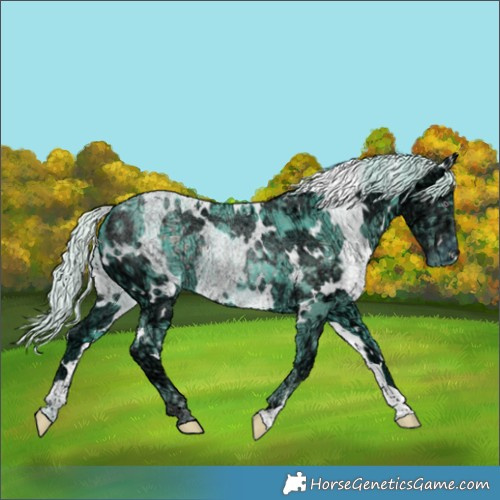 Horse Color:Watercolor White Spotted Chocolate Silver Smoky Black Chinchilla Ice 