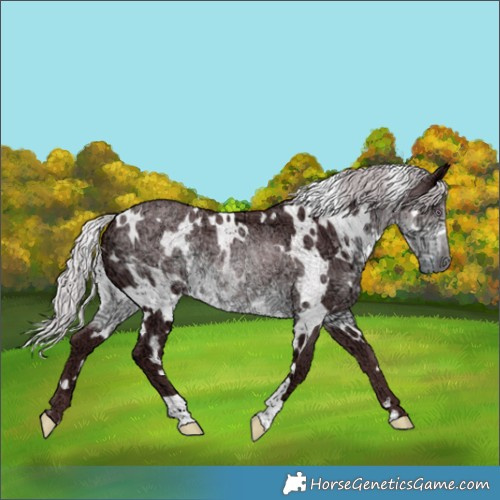Horse Color:White Spotted Chocolate Silver Smoky Black Chinchilla Ice 
