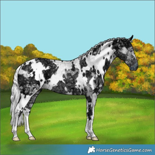 Horse Color:White Spotted Chocolate Silver Smoky Creme Chinchilla Ice 