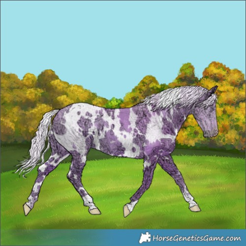 Horse Color:Watercolor White Spotted Chocolate Silver Smoky Creme Chinchilla Ice