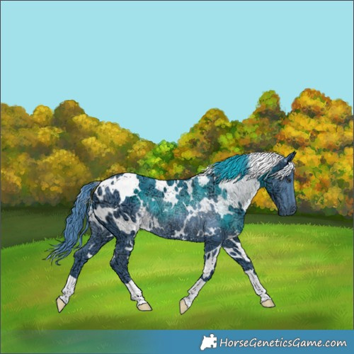 Horse Color:Watercolor White Spotted Chocolate Smoky Black Chinchilla Ice 