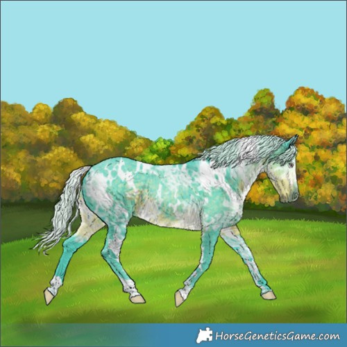 Horse Color:Watercolor White Spotted Chocolate Silver Smoky Black Chinchilla Ice 