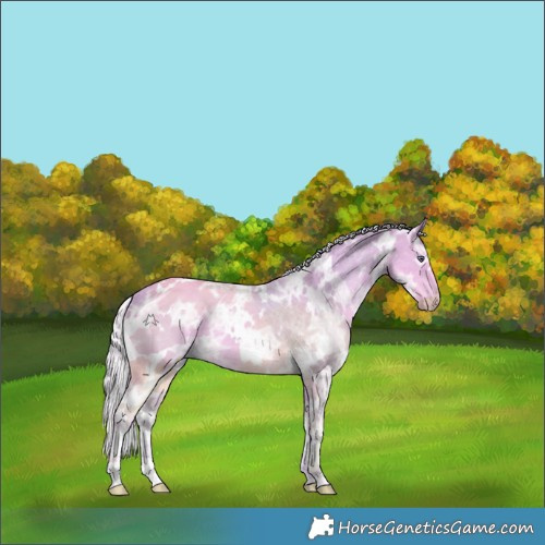 Horse Color:Watercolor White Spotted Chocolate Silver Smoky Creme Chinchilla Ice