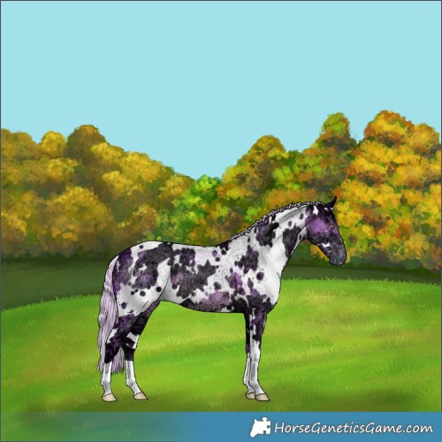 Horse Color:Watercolor White Spotted Chocolate Silver Black Chinchilla Ice 