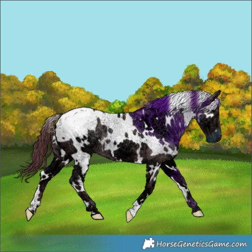 Horse Color:White Spotted Chocolate Black Chinchilla Ice 