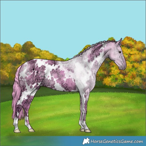Horse Color:Watercolor White Spotted Chocolate Black Chinchilla Ice