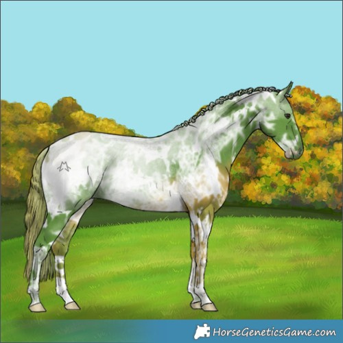 Horse Color:Watercolor White Spotted Chocolate Smoky Black Chinchilla Ice 