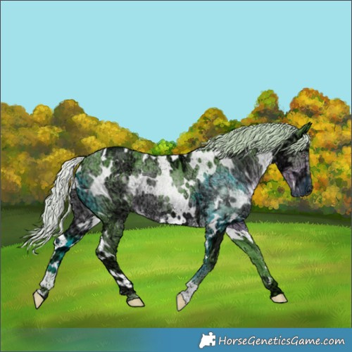 Horse Color:Watercolor White Spotted Chocolate Silver Smoky Black Chinchilla Ice