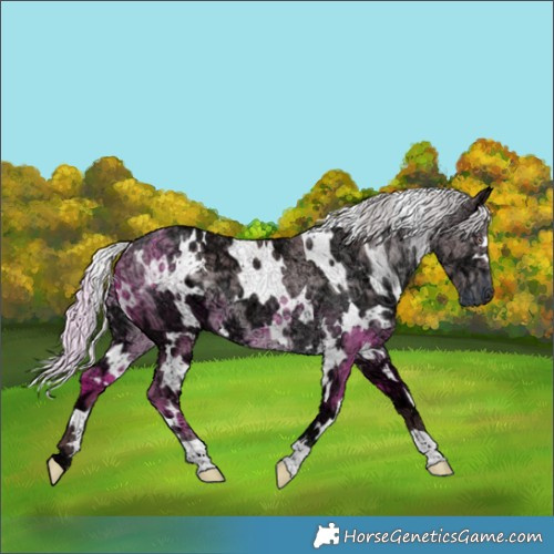 Horse Color:White Spotted Chocolate Silver Black Chinchilla Ice