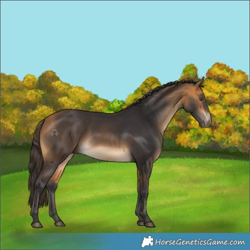 Horse Color:Buckskin Rabicano