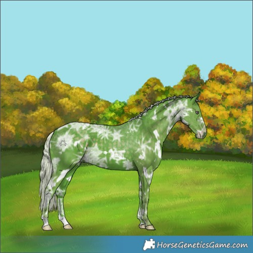 Horse Color:Watercolor White Spotted Chocolate Silver Smoky Black Chinchilla Ice 