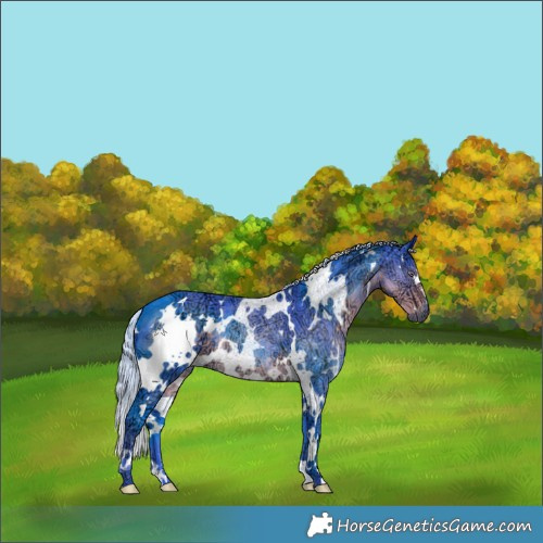 Horse Color:Watercolor White Spotted Silver Smoky Black Chinchilla Ice