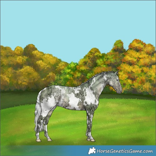 Horse Color:Watercolor White Spotted Chocolate Silver Smoky Creme Chinchilla Ice 